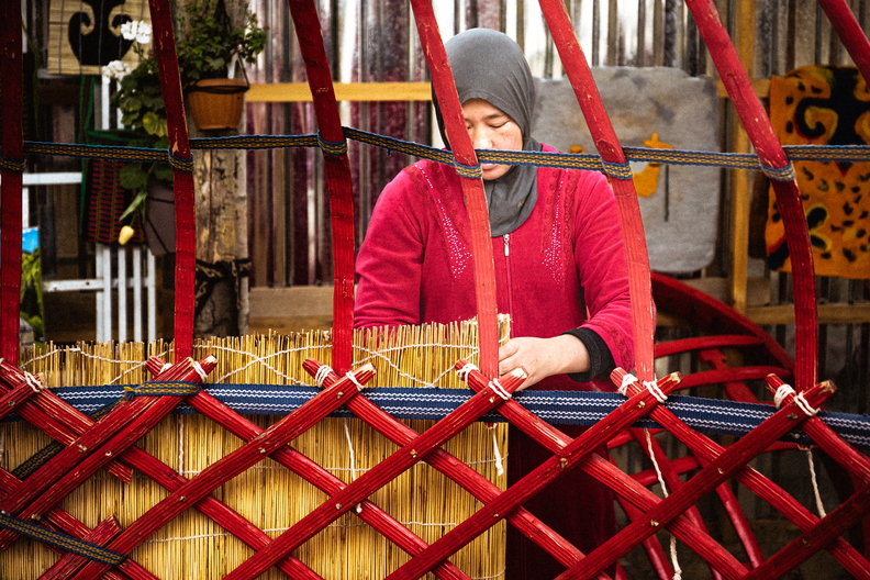 Day 1 - Creazione Yurta - 10.jpg